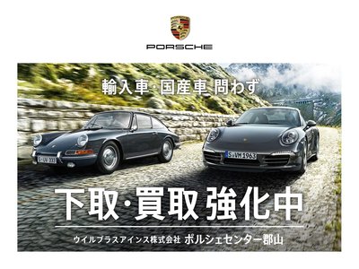 2023 Porsche MACAN — миниатюра 96