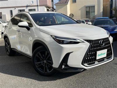 LEXUS NX - 1