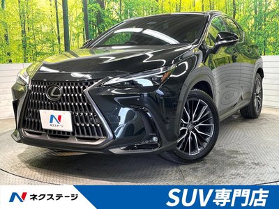 LEXUS NX - 1