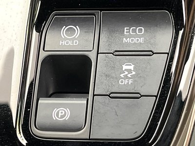 2025 Toyota ALPHARD thumbnail 50