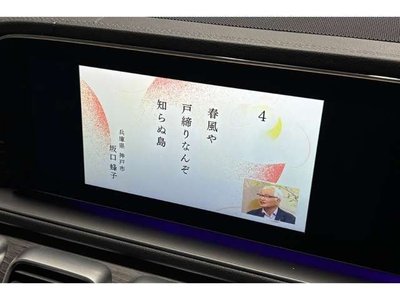 MERCEDES-BENZ MERCEDES-BENZ GLE - 10