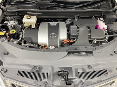 2020 Lexus RX 照片 6