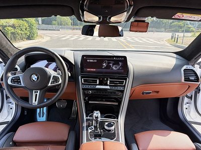 BMW 8 SERIES - 5