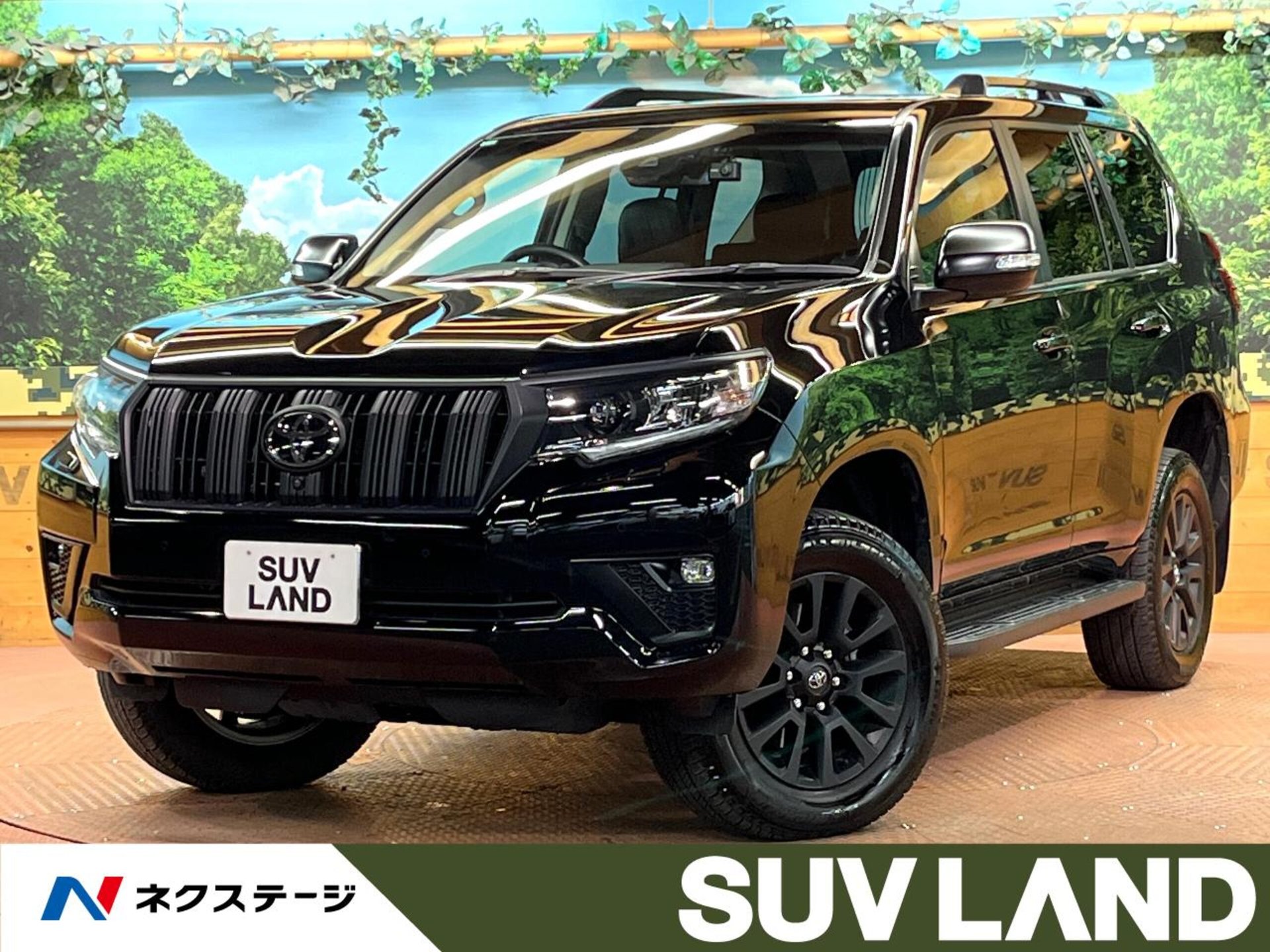 TOYOTA LAND CRUISER PRADO - View 1
