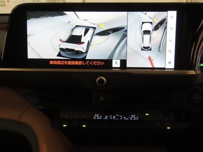 2025 Toyota CROWN SPORT 缩略图 22