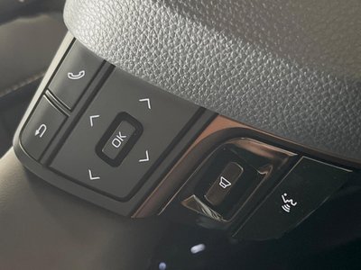 صورة مصغرة 41 لـ 2025 TOYOTA ALPHARD