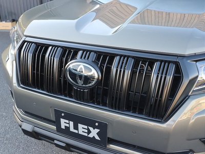 TOYOTA LAND CRUISER PRADO - 6