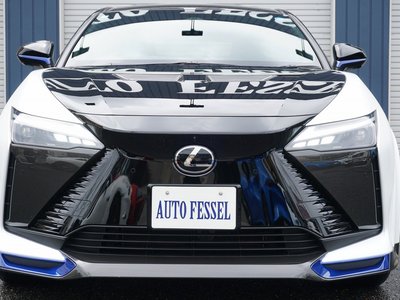 2024 Lexus RZ photo 5