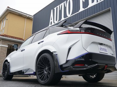 2024 Lexus RZ thumbnail 12