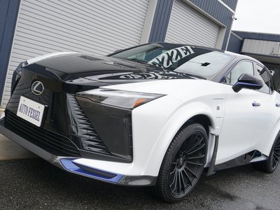 2024 Lexus RZ thumbnail 11