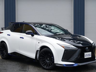 2024 Lexus RZ photo 1