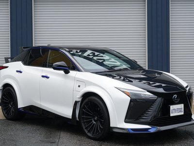 2024 Lexus RZ photo 7