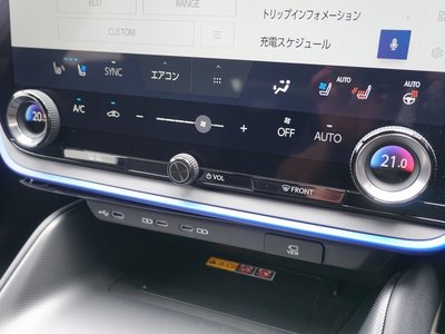 2024 Lexus RZ thumbnail 23