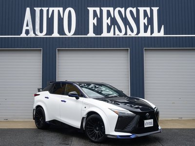 2024 Lexus RZ thumbnail 55
