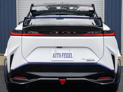 2024 Lexus RZ photo 6