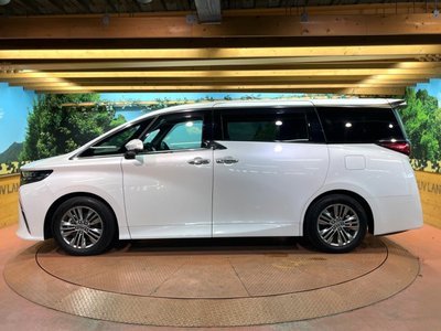 2024 Toyota ALPHARD 缩略图 59