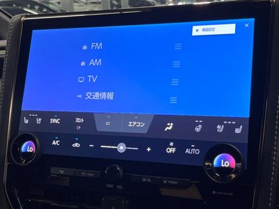 2024 Toyota ALPHARD 缩略图 46