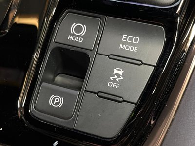 2024 Toyota ALPHARD 缩略图 54