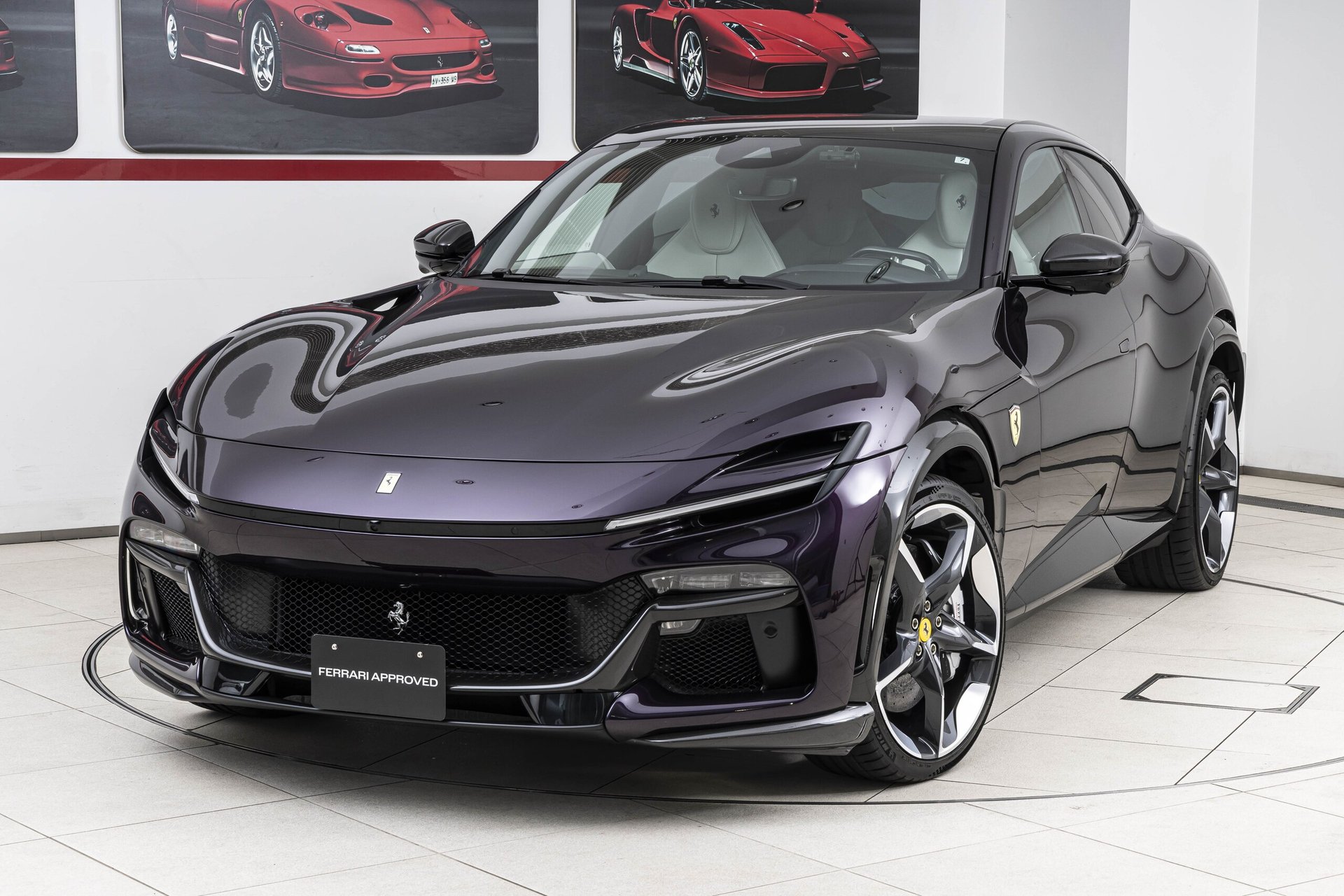 FERRARI PUROSANGUE - View 1