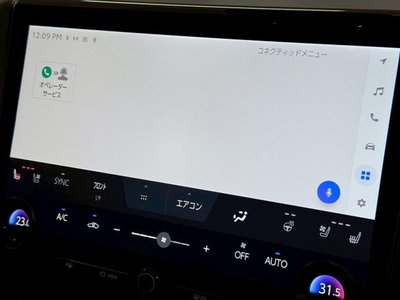 2024 TOYOTA ALPHARD — миниатюра 73