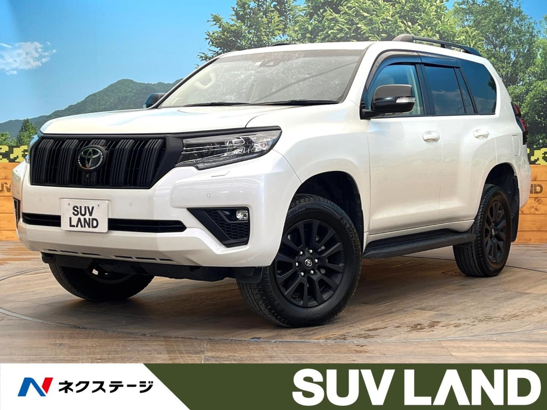 TOYOTA LAND CRUISER PRADO - View 1