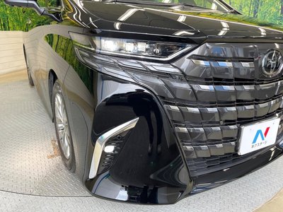 2025 TOYOTA ALPHARD — миниатюра 13