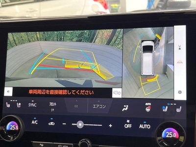 TOYOTA ALPHARD - 4