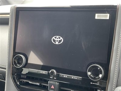 2024 TOYOTA ALPHARD 照片 2
