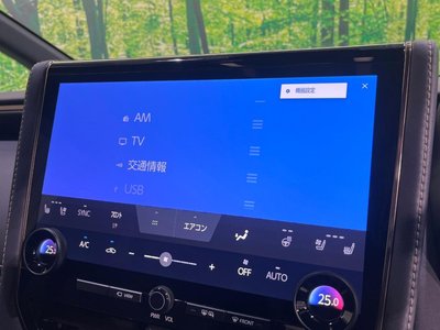 2023 TOYOTA ALPHARD thumbnail 56