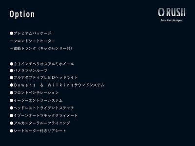 MASERATI LEVANTE - 2