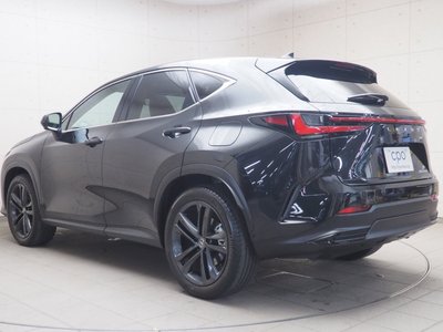 LEXUS NX - 4