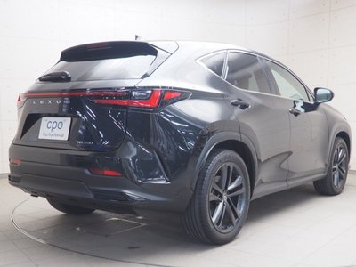 LEXUS NX - 6