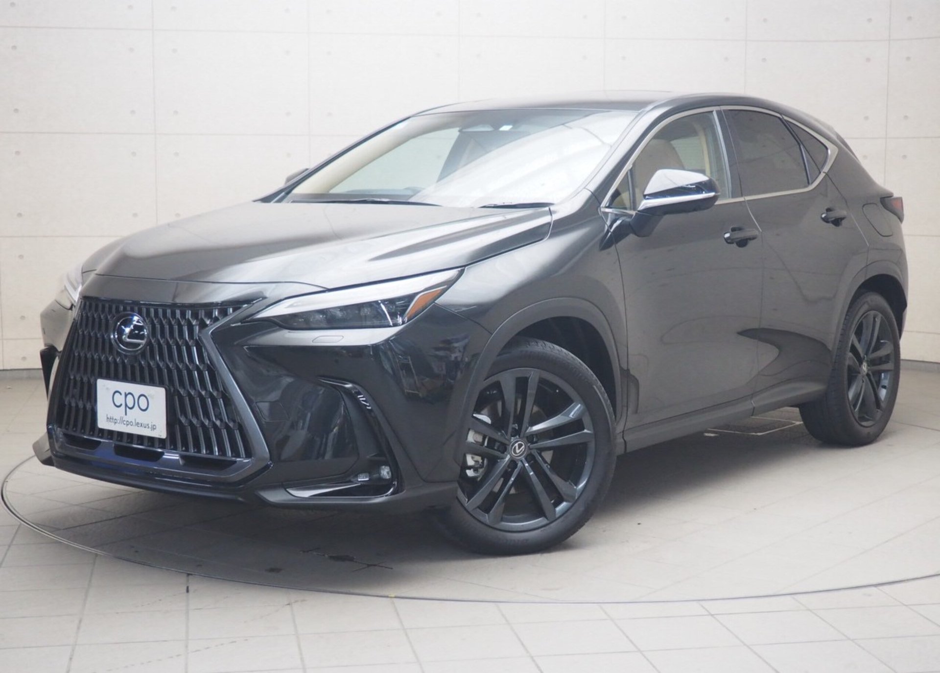 LEXUS NX - View 1