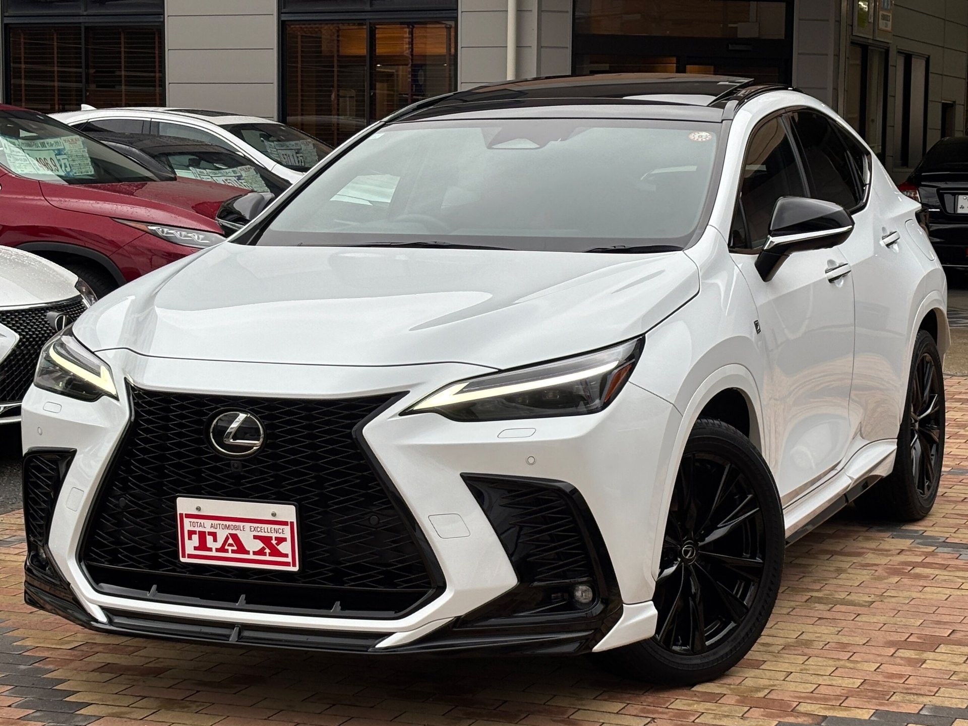 LEXUS NX - View 1