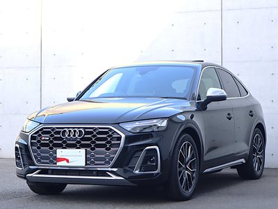 2025 AUDI SQ5 SPORTBACK thumbnail 51
