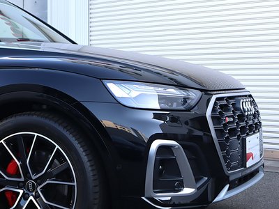 2025 AUDI SQ5 SPORTBACK thumbnail 40