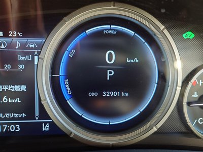 2020 Lexus RX thumbnail 16
