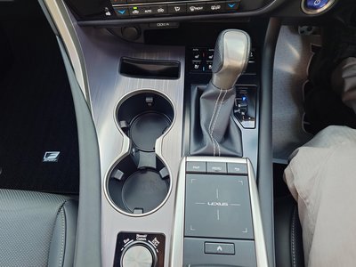 2020 Lexus RX thumbnail 18