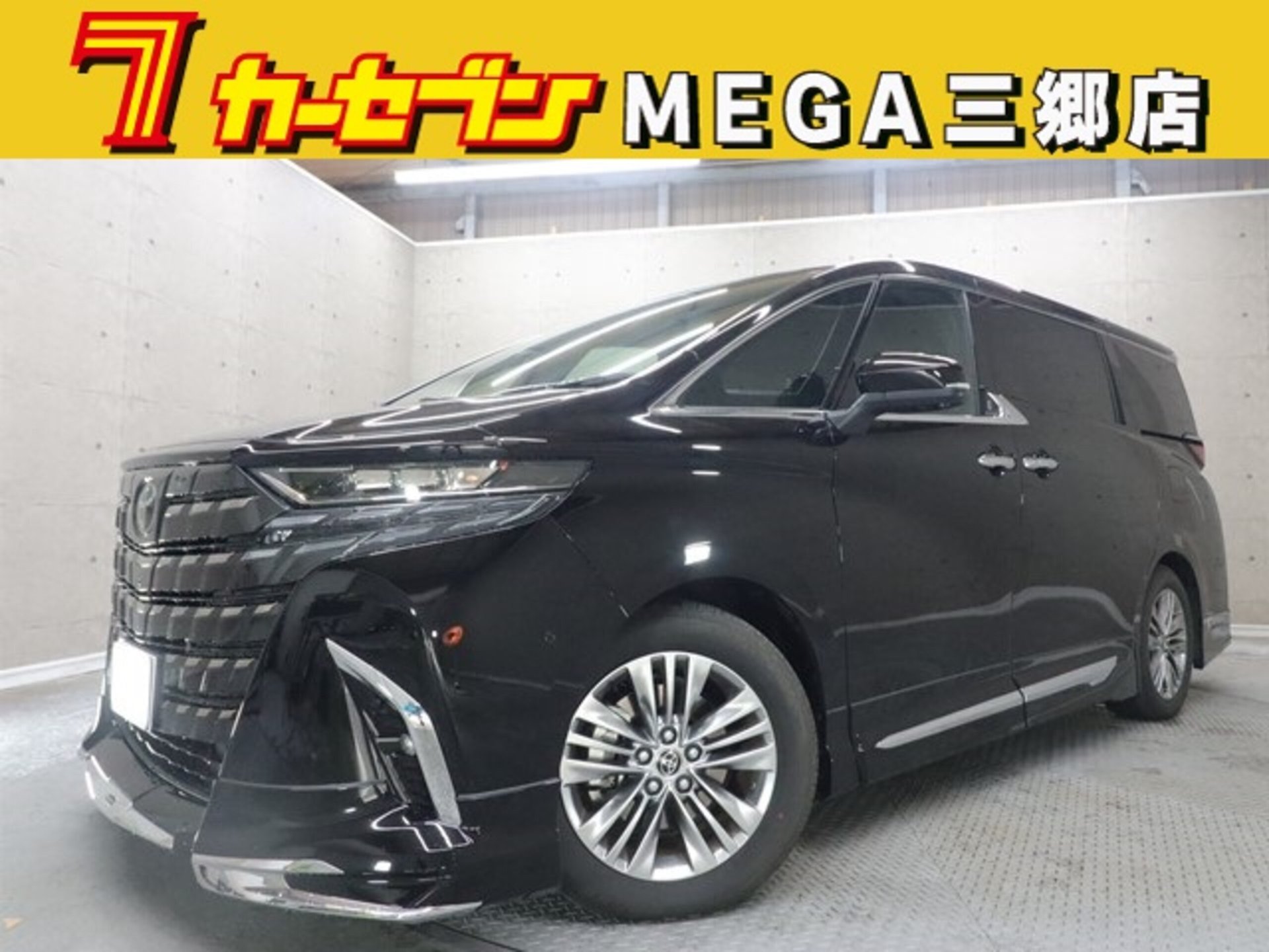 TOYOTA ALPHARD - View 1