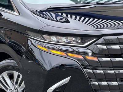 2026 TOYOTA ALPHARD thumbnail 19