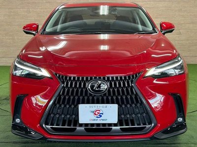 2023 Lexus NX — миниатюра 15