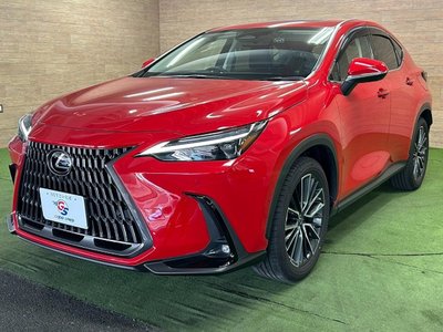 2023 Lexus NX — миниатюра 59