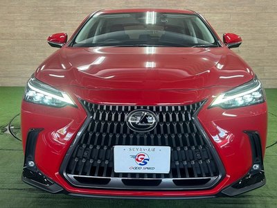 2023 Lexus NX — миниатюра 57