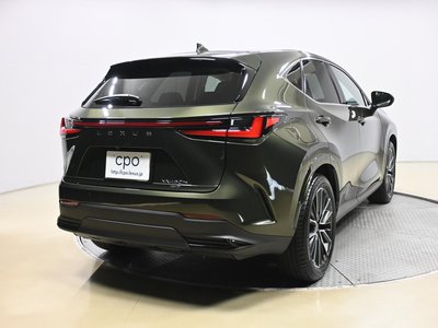 LEXUS NX - 6
