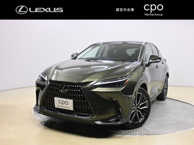 LEXUS NX - 1