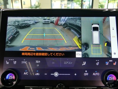 صورة 5 لـ 2025 TOYOTA ALPHARD