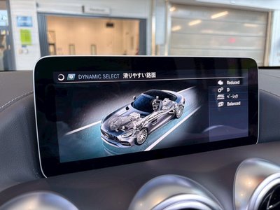 2019 Mercedes-BENZ GT AMG 缩略图 24