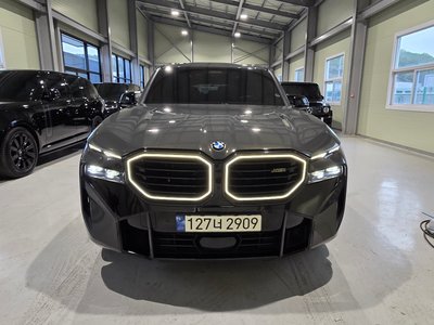 2023 BMW XM photo 2