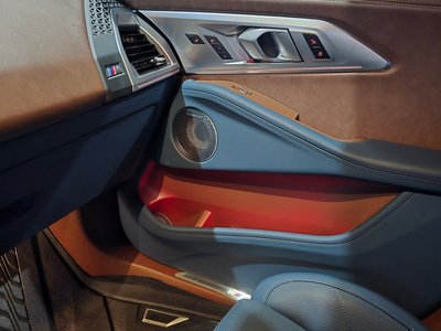 2023 BMW XM photo 10