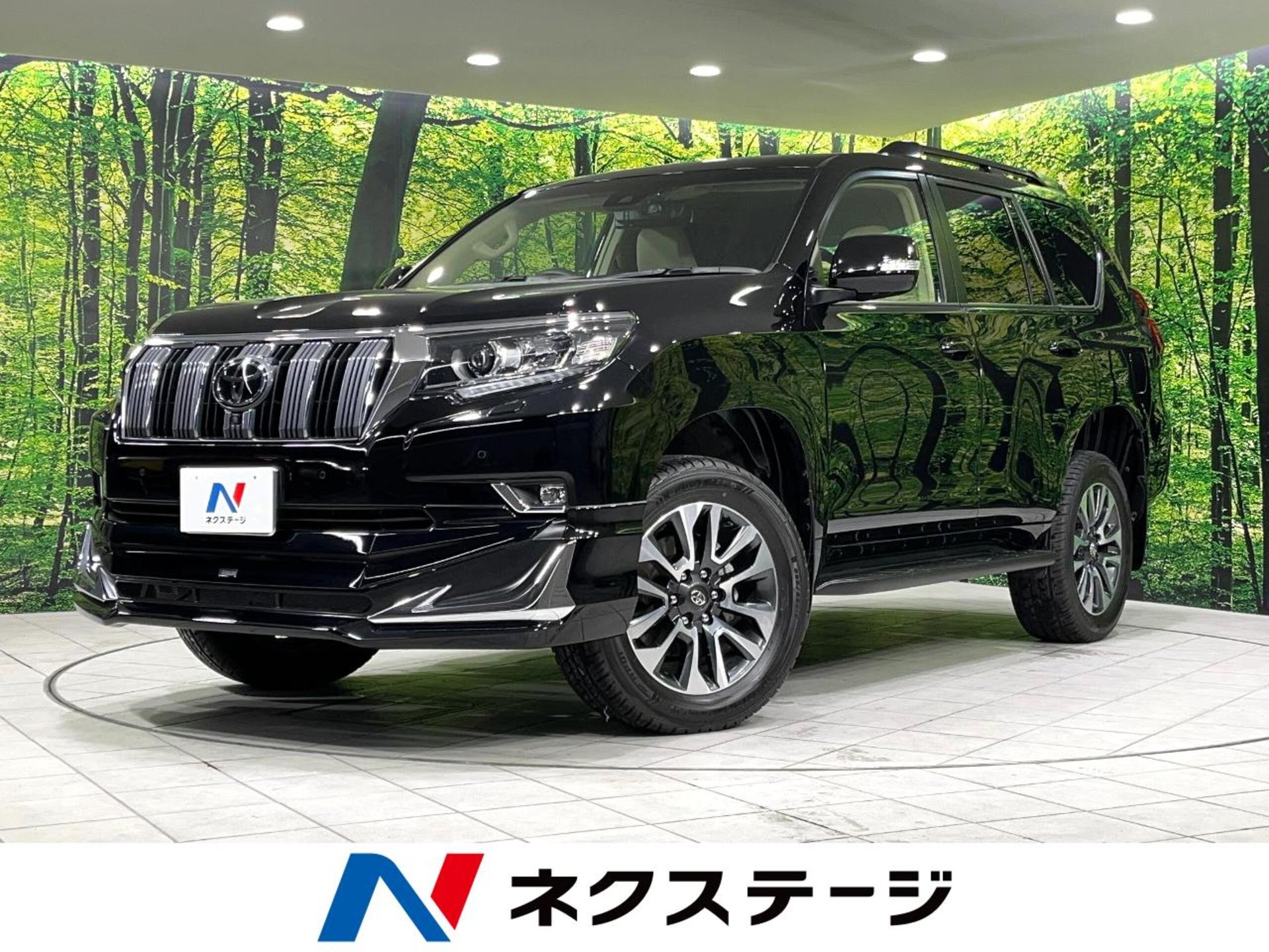 TOYOTA LAND CRUISER PRADO - View 1